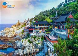 Tour Hàn Quốc Giá Rẻ 6N5Đ: Ngắm Hoa Anh Đào 2026